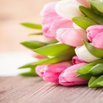 प्यार जिससे करते हैं हम