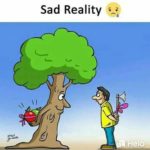 शजर