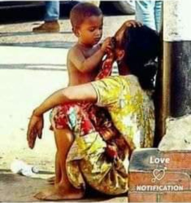 साया तेरा