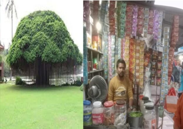 वो पान की दुकान वो बरगद की छाँव