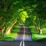         ज्यादा नहीं मुझे तो बस………..