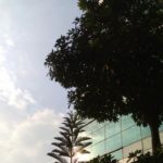 Life is a Bliss and can’t be missed!