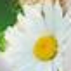Profile photo of happy