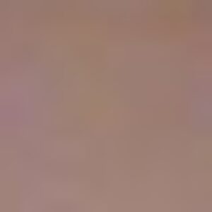 Profile photo of jayant _